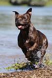 STAFFIE 169